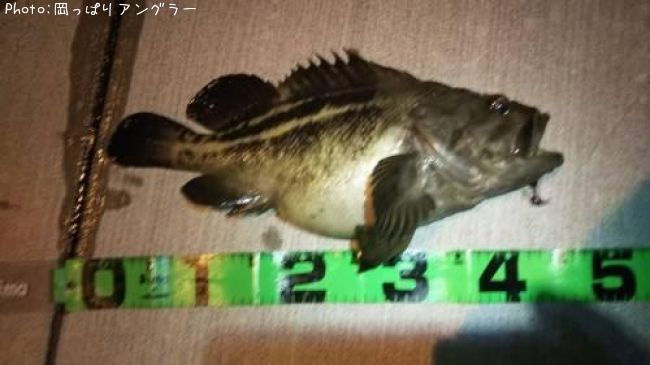 ���ޥ���