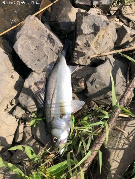 �����Х�