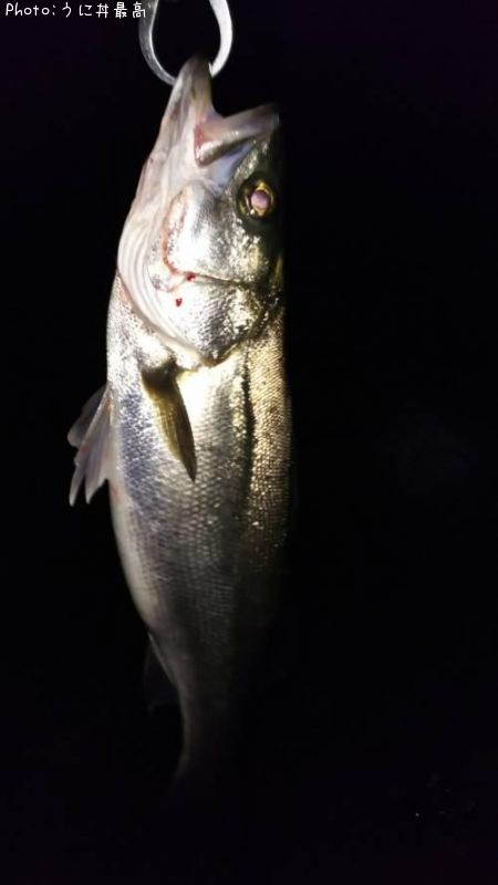 �����Х�