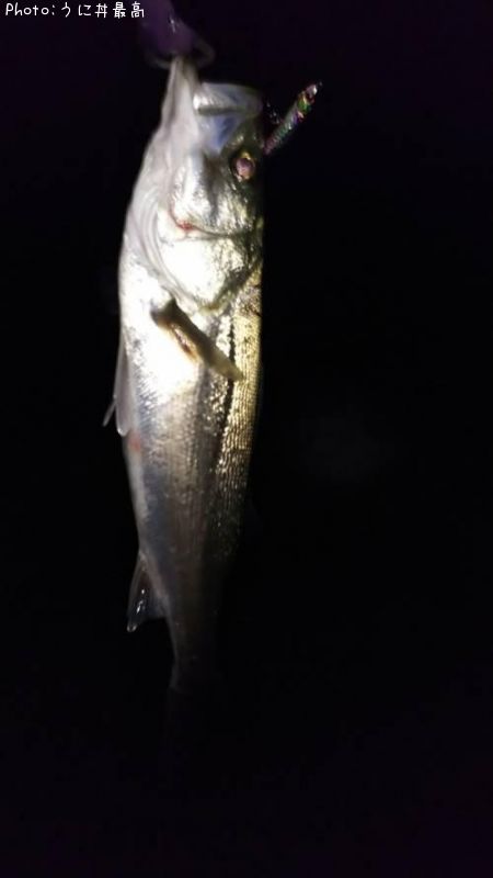 �����Х�