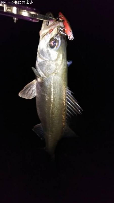 �����Х�