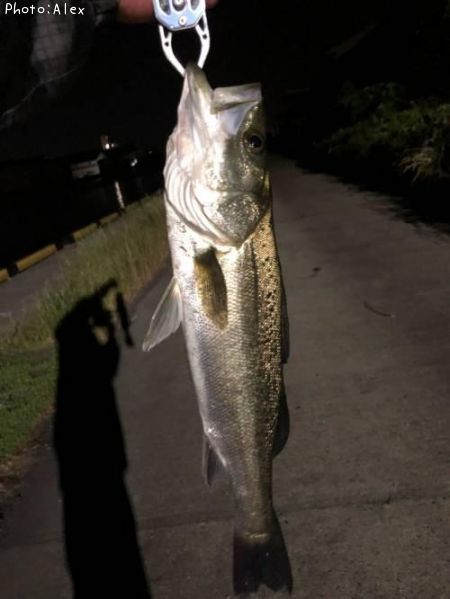 �����Х�