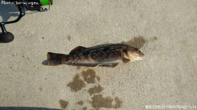 �����ʥ�