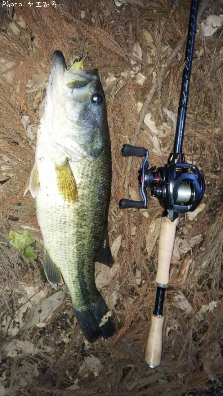 �֥�å��Х�