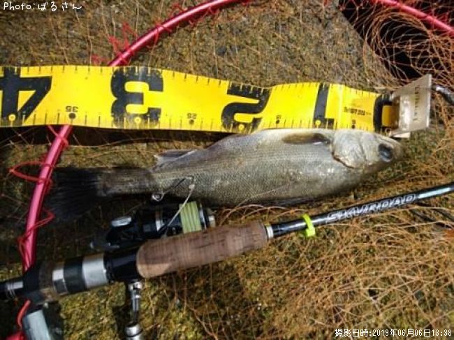 �����Х�