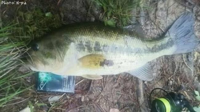 �֥�å��Х�