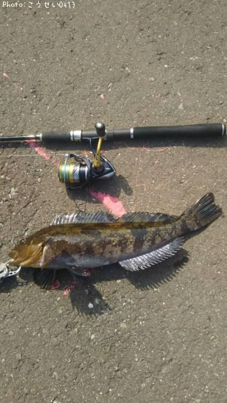 �����ʥ�