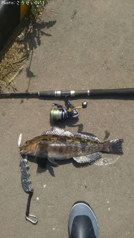 �����ʥ�