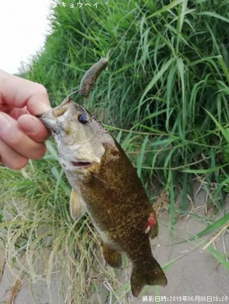 �֥�å��Х�