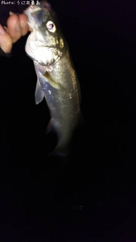 �����Х�