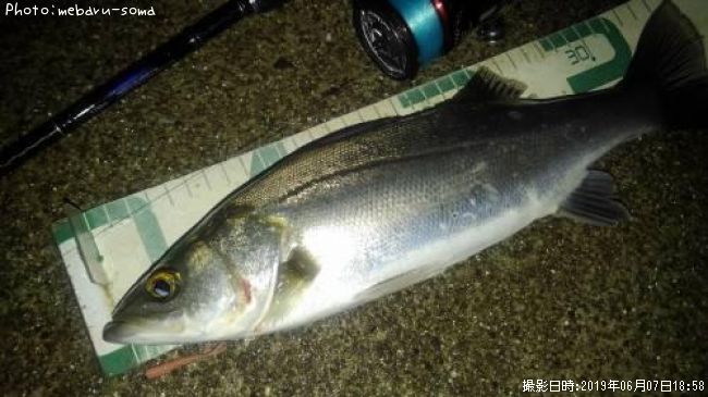 �����Х�