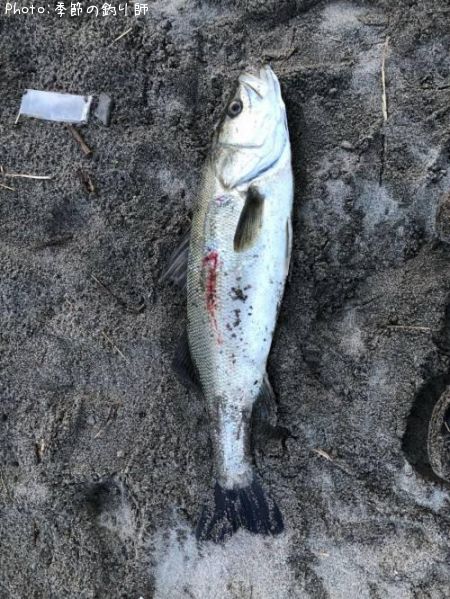 �����Х�