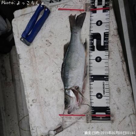 �����Х�