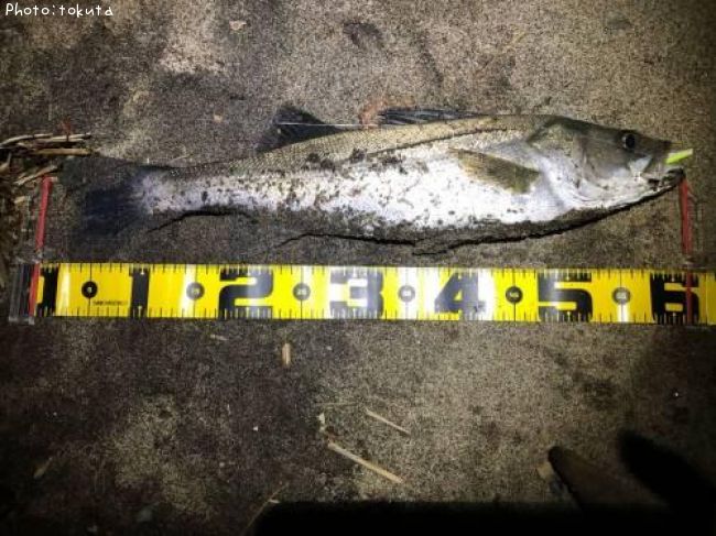 �����Х�