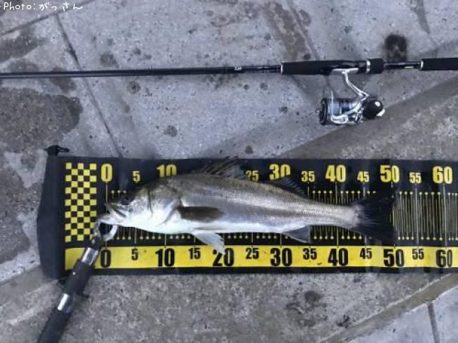 �����Х�