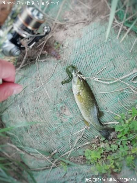 �֥�å��Х�