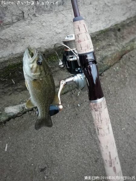 �֥�å��Х�