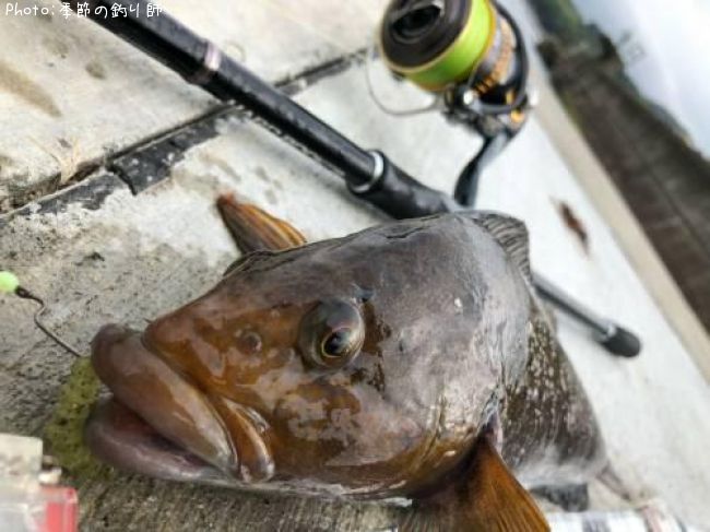 �����ʥ�