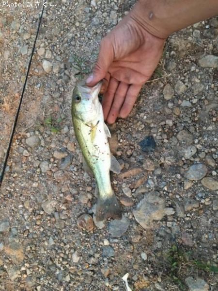 �֥�å��Х�