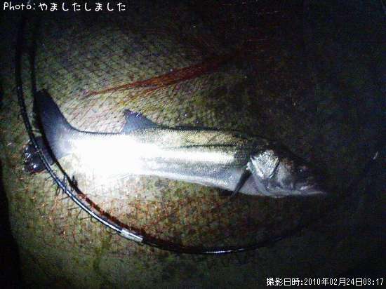 �����Х�