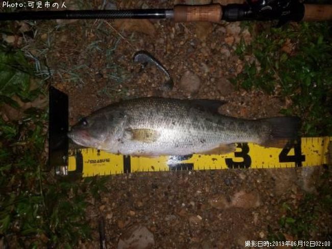 �֥�å��Х�