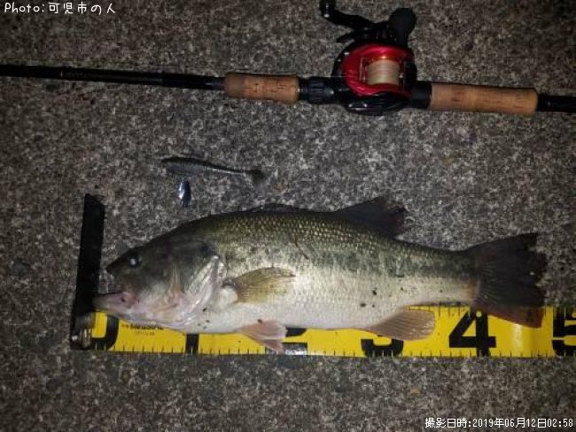 �֥�å��Х�