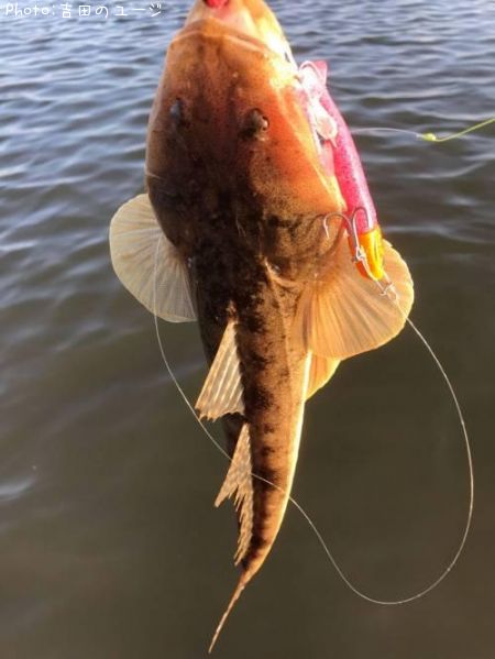 �ޥ���