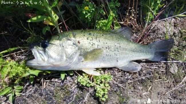 �֥�å��Х�