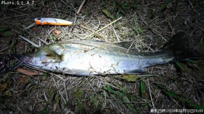 �����Х�