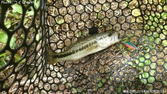 �֥�å��Х�