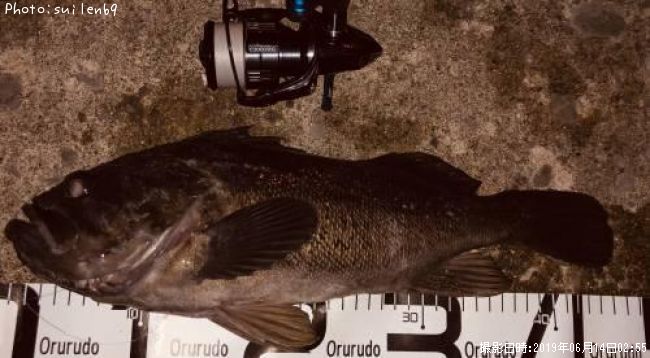 ��������