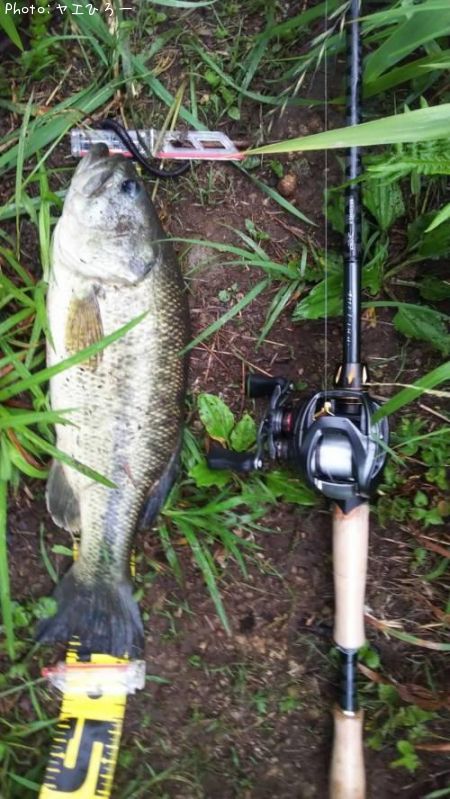 �֥�å��Х�