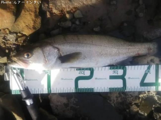 �����Х�