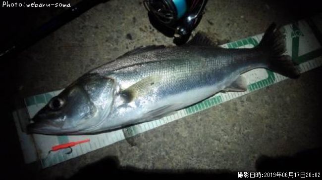 �����Х�