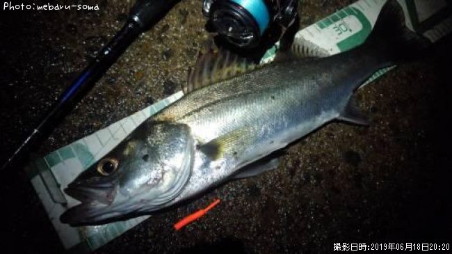 �����Х�