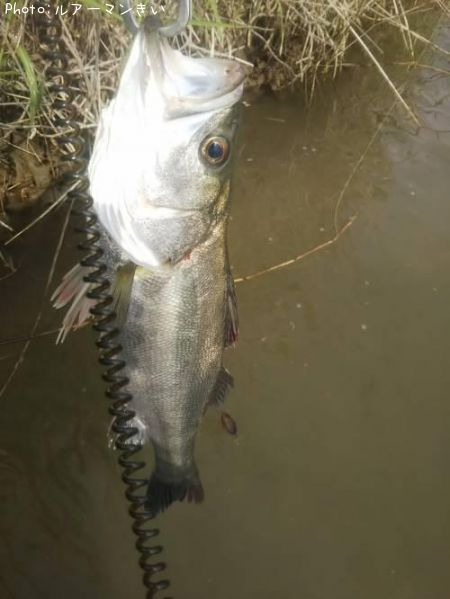 �����Х�