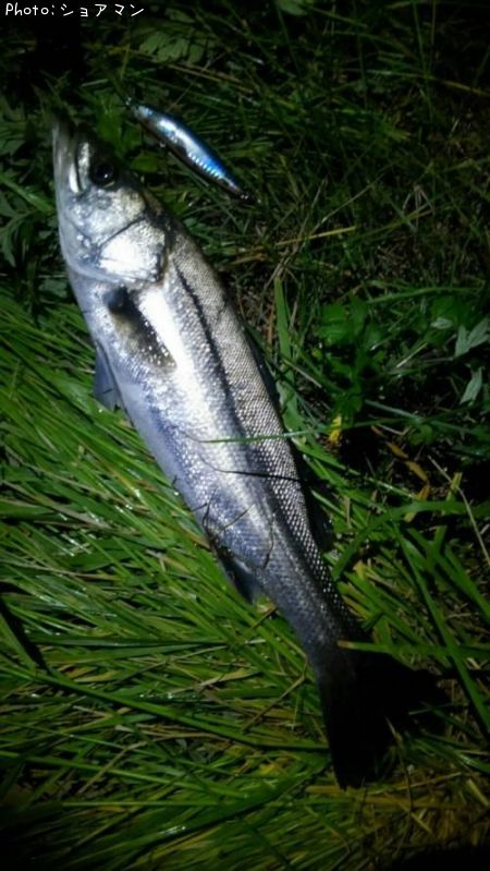 �����Х�