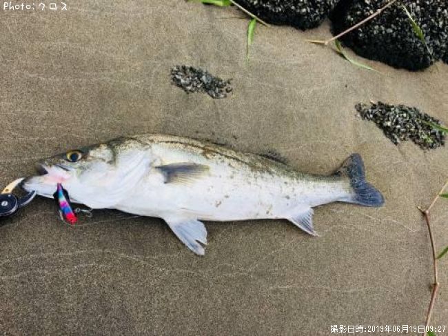 �����Х�