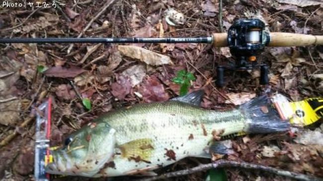 �֥�å��Х�