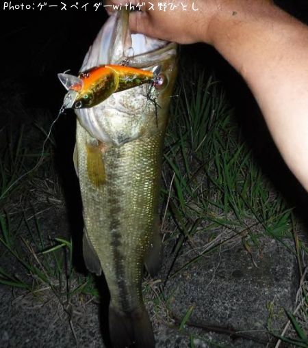 �֥�å��Х�