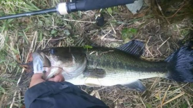 �֥�å��Х�