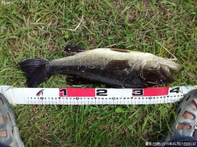 �֥�å��Х�