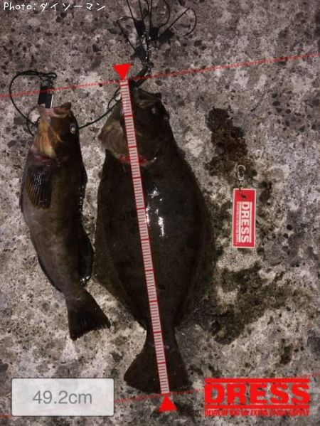 �ҥ�ᡢ���֥��