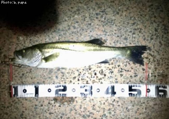 �����Х�