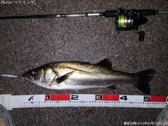 �����Х�