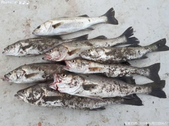 �����Х�