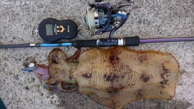 �����ꥤ��