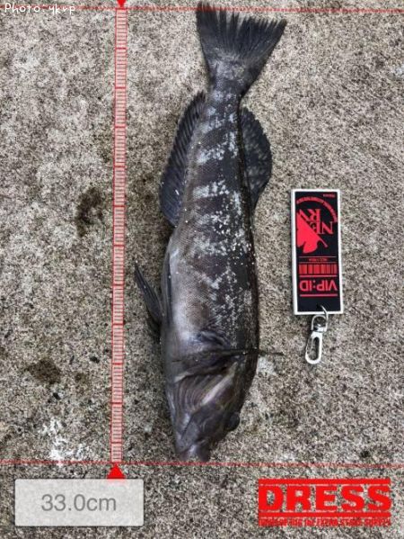 �����ʥ�