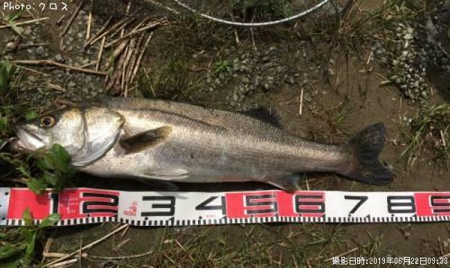 �����Х�