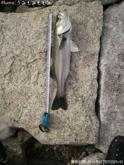 �����Х�